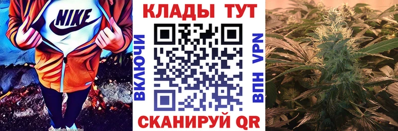 Что такое Москва Гашиш  Псилоцибиновые грибы  МЕФ  Марихуана 