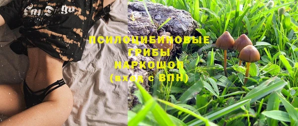 таблы Горно-Алтайск