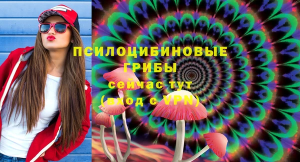 мдпв Михайлов